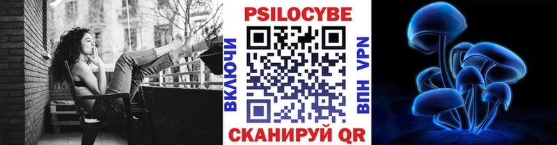 наркота  Городище  Псилоцибиновые грибы ЛСД 